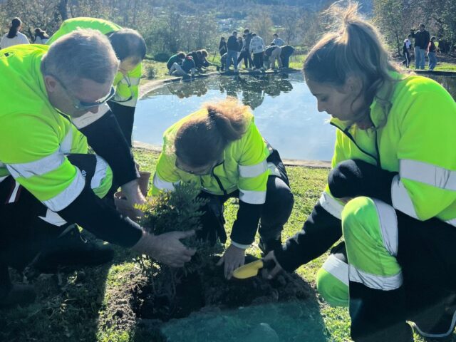 Dia da Floresta Autóctone celebrada com plantação de aromáticas